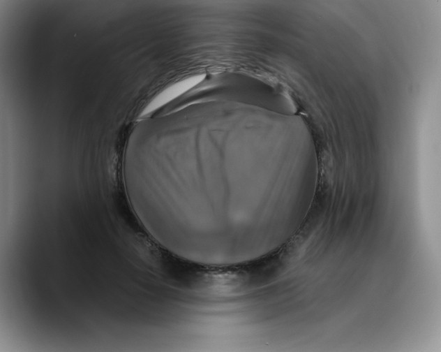 X0000089690650200707201721
