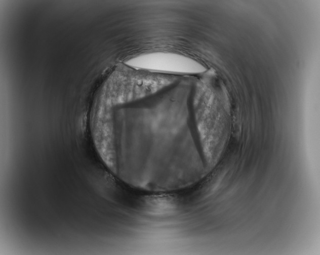 X0000089690652200707201721