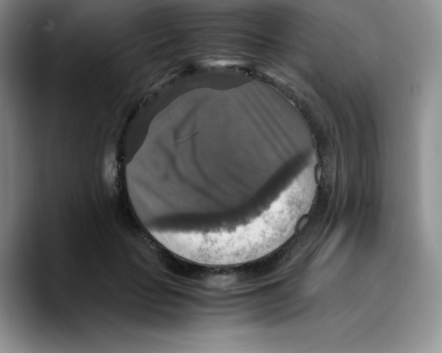 X0000089690653200707201721