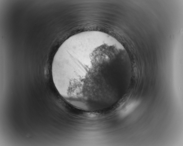 X0000089690654200707201721