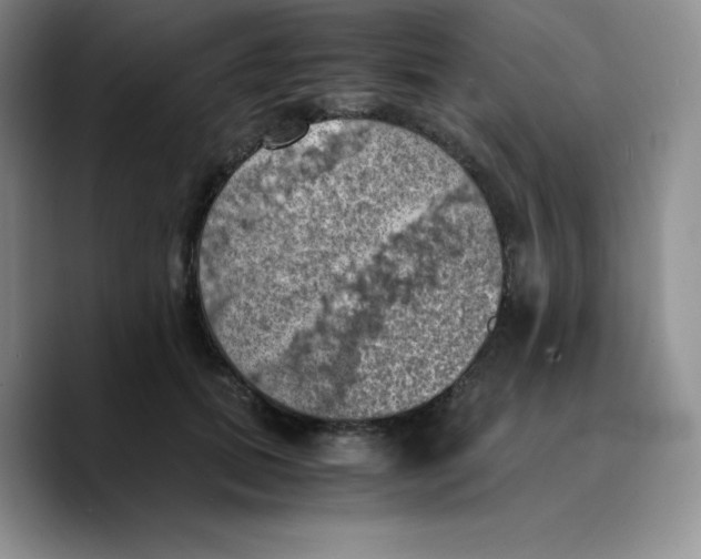 X0000089690655200707201721