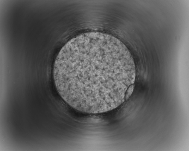 X0000089690656200707201721