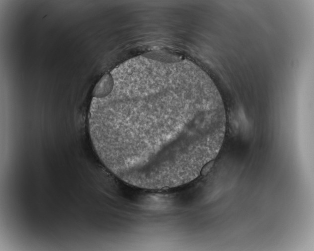 X0000089690657200707201721
