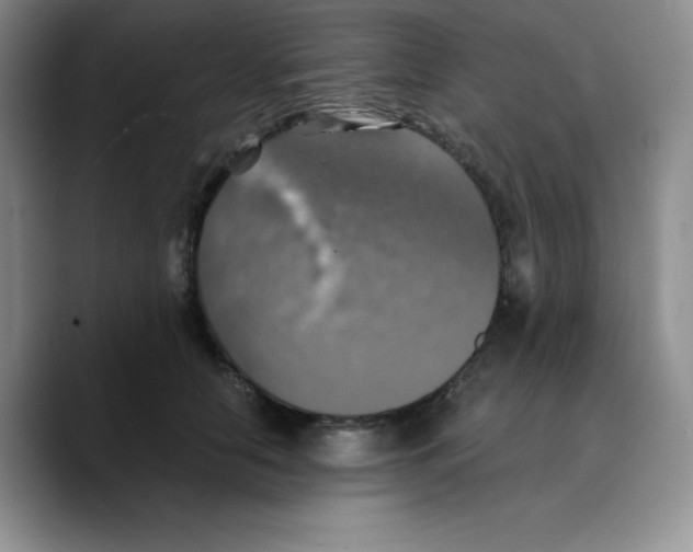 X0000089690658200707201721