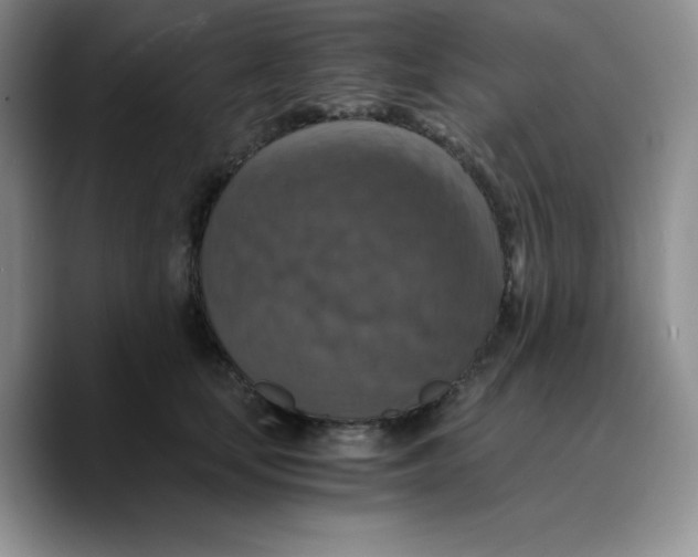 X0000089690659200707201721
