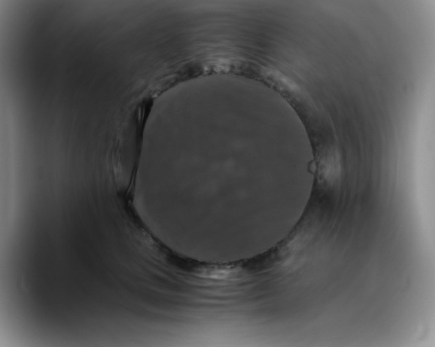 X0000089690661200707201721