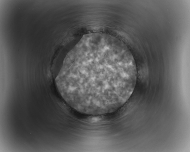X0000089690662200707201721