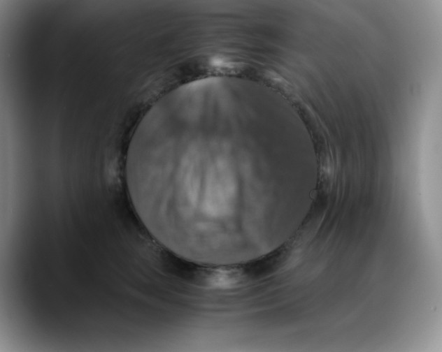 X0000089690663200707201721