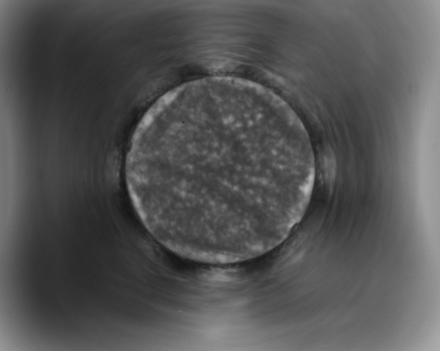 X0000089690664200707201721
