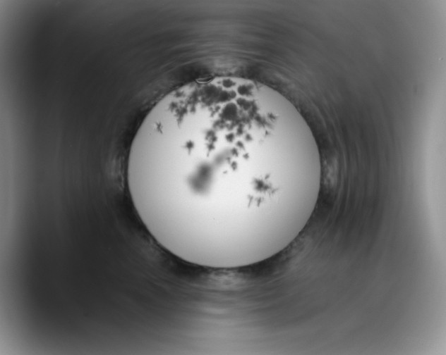 X0000089690666200707201721
