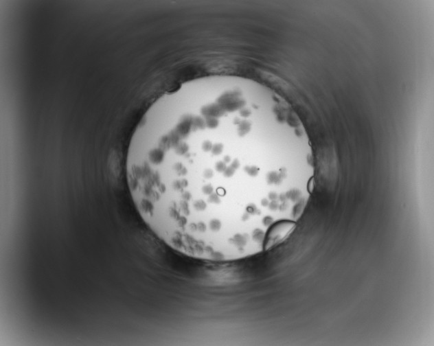 X0000089690667200707201721