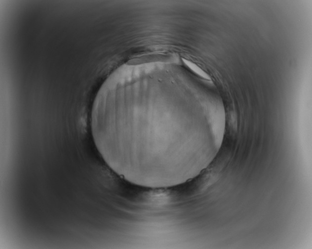 X0000089690668200707201721
