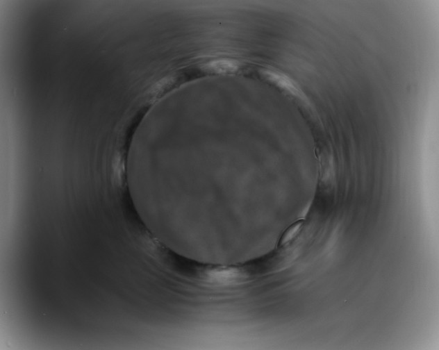 X0000089690669200707201721