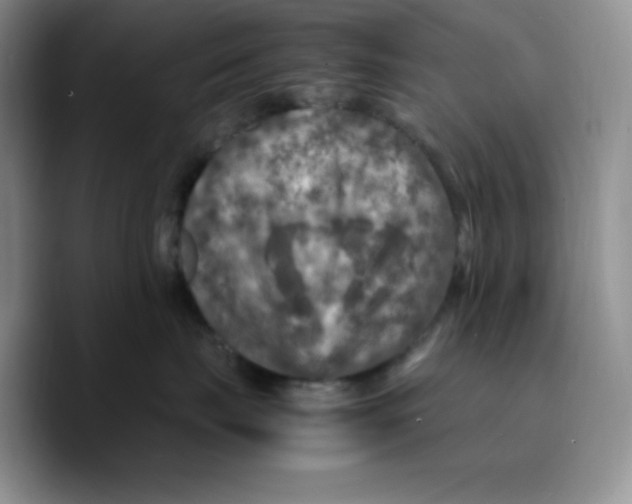 X0000089690671200707201721