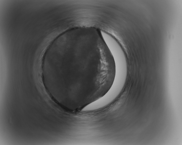 X0000089690673200707201721