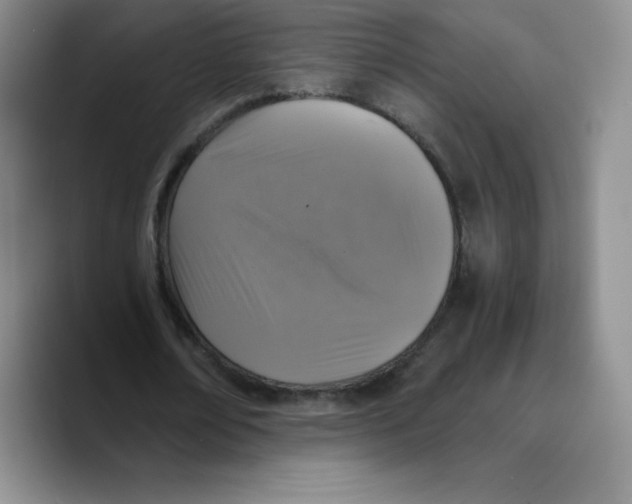 X0000089690674200707201721