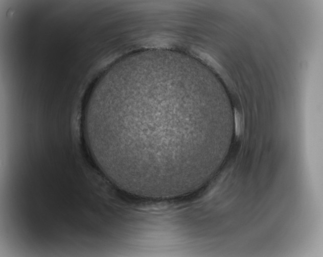 X0000089690675200707201721
