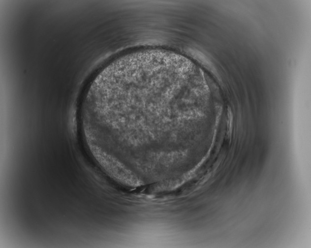 X0000089690676200707201721