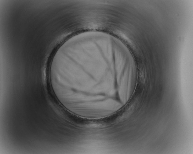 X0000089690678200707201720