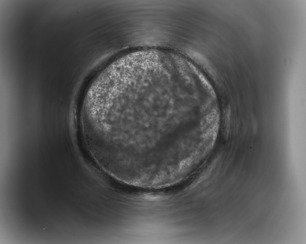 X0000089690680200707201720