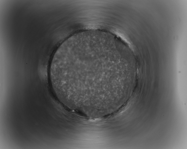 X0000089690681200707201720