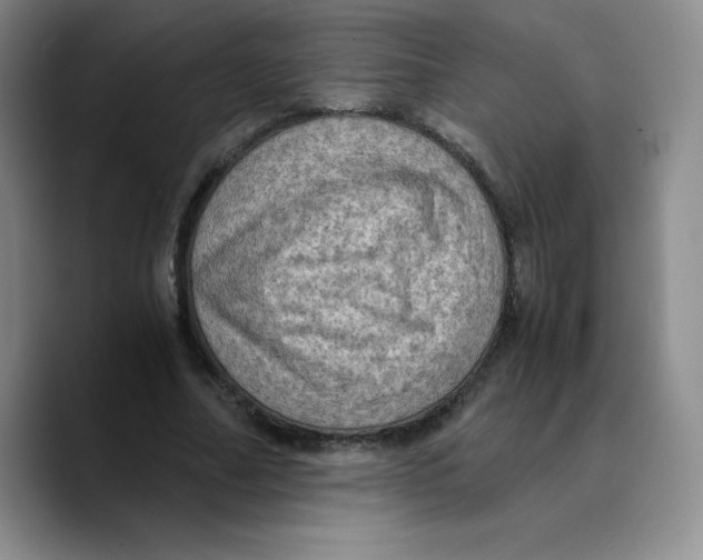 X0000089690682200707201720