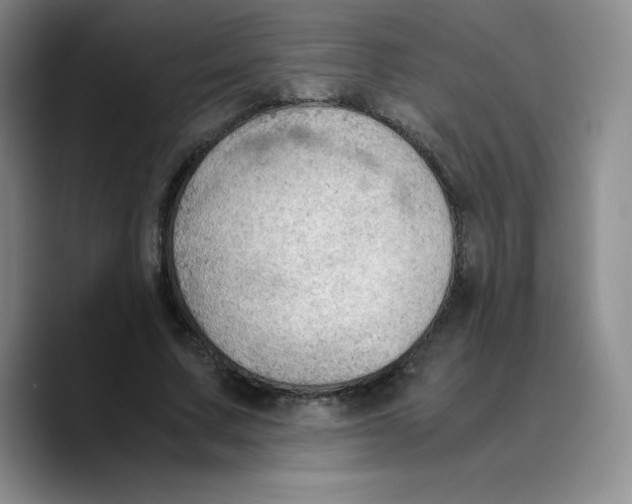X0000089690683200707201720