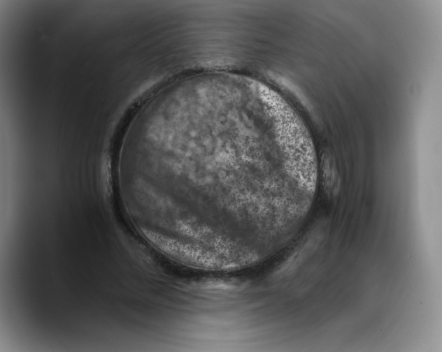 X0000089690684200707201720
