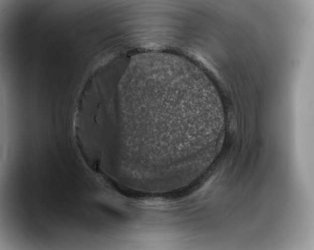 X0000089690685200707201720