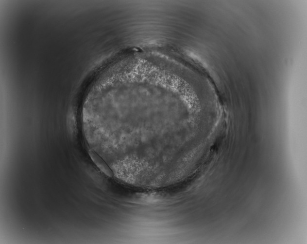 X0000089690688200707201720