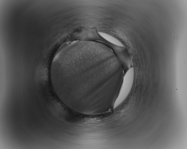 X0000089690689200707201720