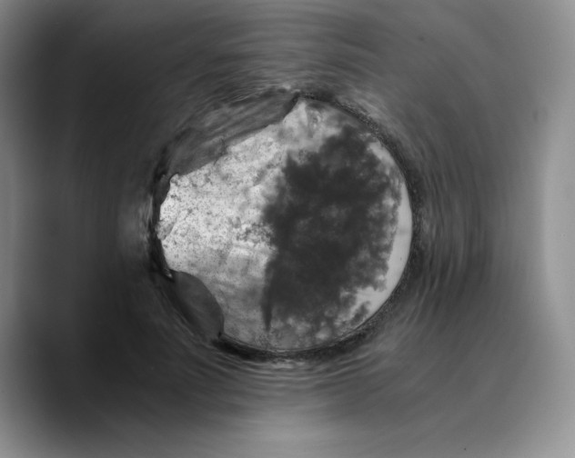 X0000089690691200707201720