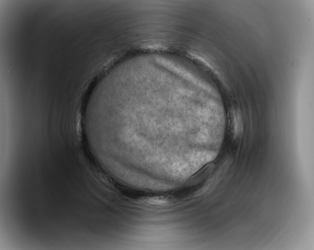 X0000089690692200707201720