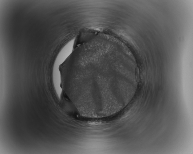 X0000089690693200707201720
