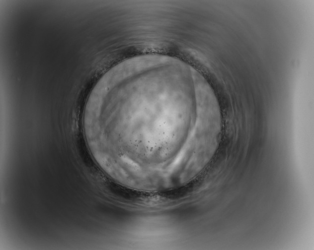 X0000089690695200707201720