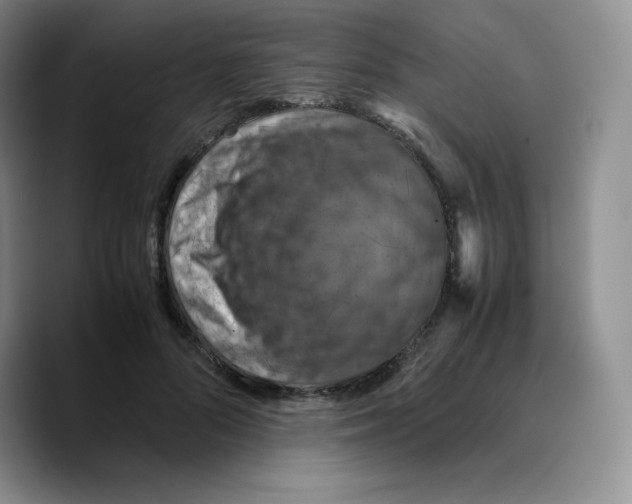 X0000089690696200707201720