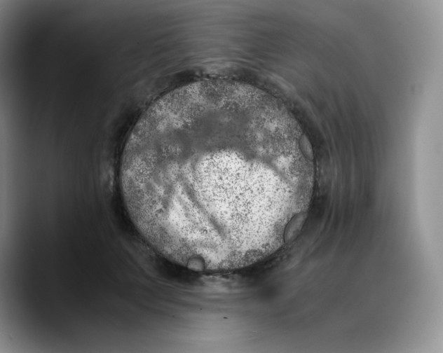 X0000089690703200707201720