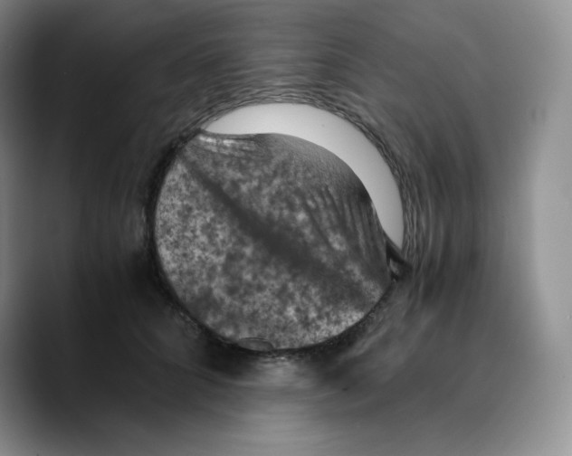 X0000089690704200707201720