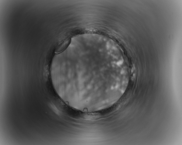 X0000089690707200707201720