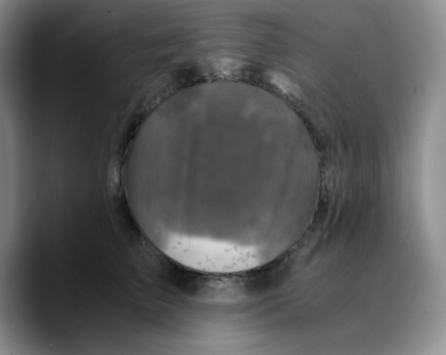 X0000089690709200707201720