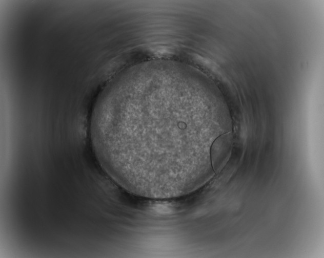 X0000089690710200707201720