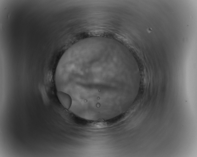 X0000089690711200707201720