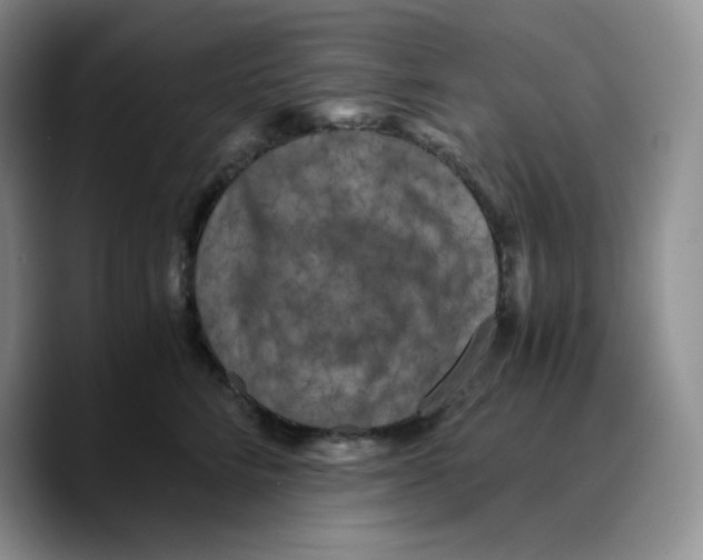 X0000089690712200707201720