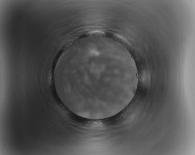 X0000089690715200707201720