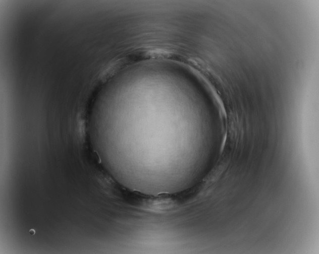 X0000089690716200707201720