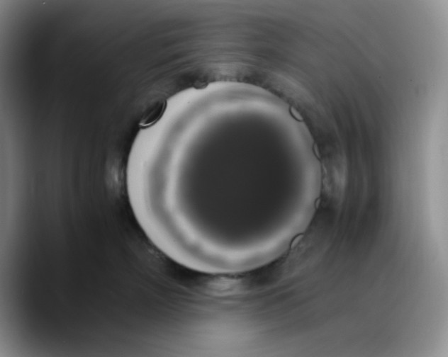 X0000089690718200707201720