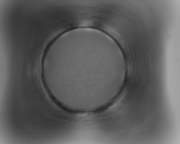 X0000089690721200707201719