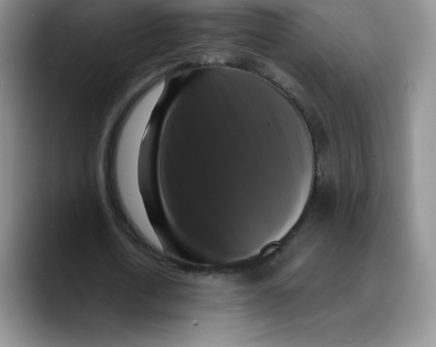 X0000089690722200707201719