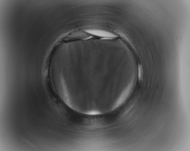 X0000089690723200707201719