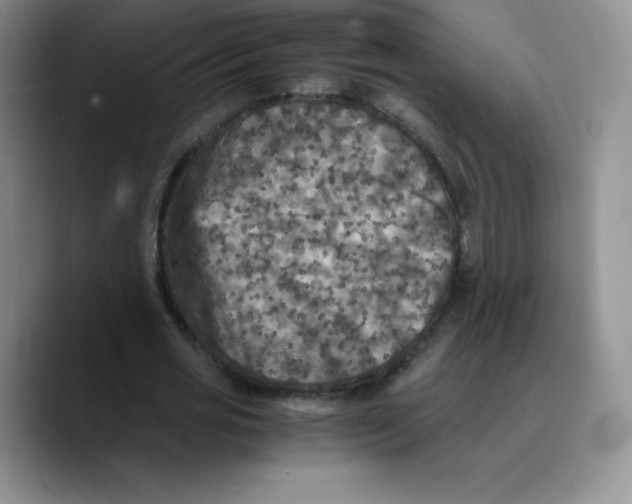 X0000089690725200707201719